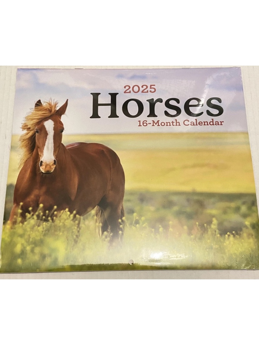 2025 Horses 16-Month Wall Calendar 11 x 10 Inches Sealed New.